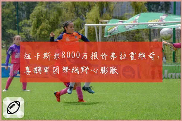 纽卡斯尔8000万报价弗拉霍维奇，喜鹊军团锋线野心膨胀