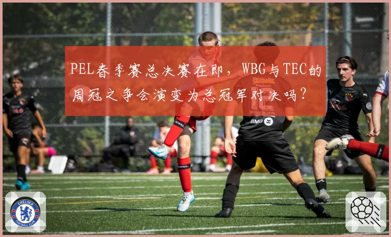 PEL春季赛总决赛在即,WBG与TEC的周冠之争会演变为总冠军对决吗?