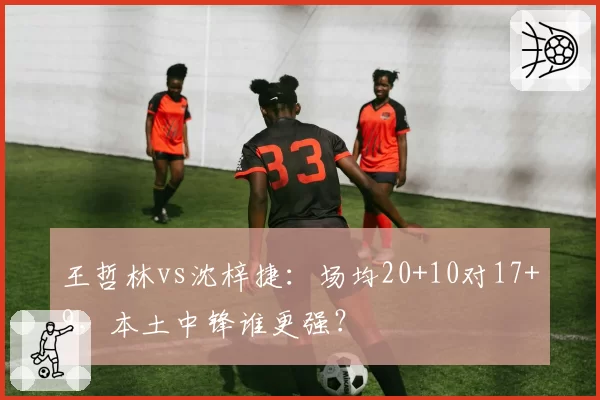 王哲林vs沈梓捷：场均20+10对17+9，本土中锋谁更强？