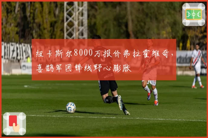 纽卡斯尔8000万报价弗拉霍维奇，喜鹊军团锋线野心膨胀